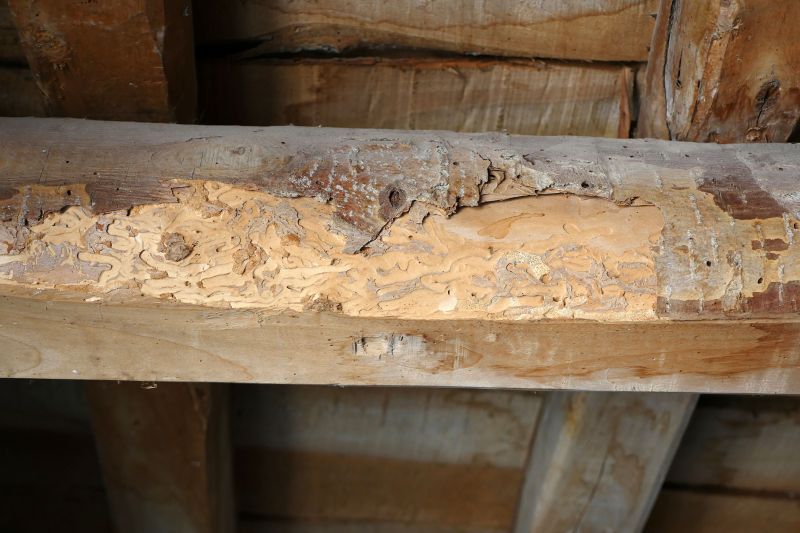 Wood Decay Repair in Arvada, CO