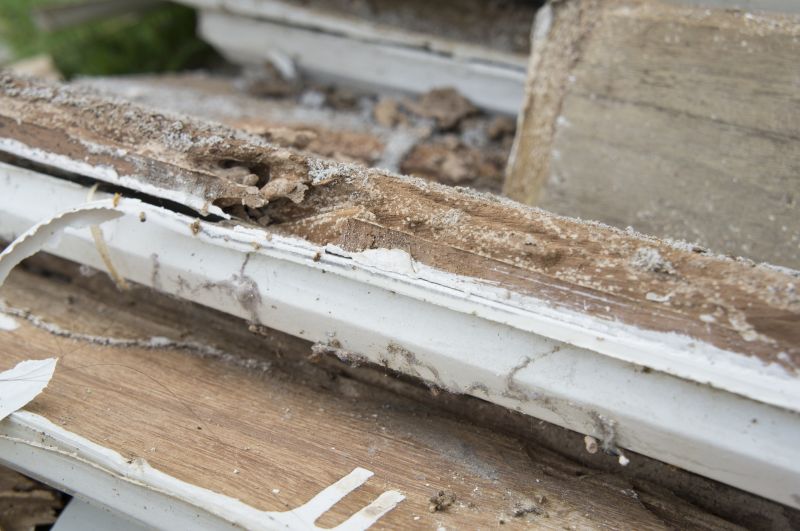 Decay Repair Service in Overland Park, KS