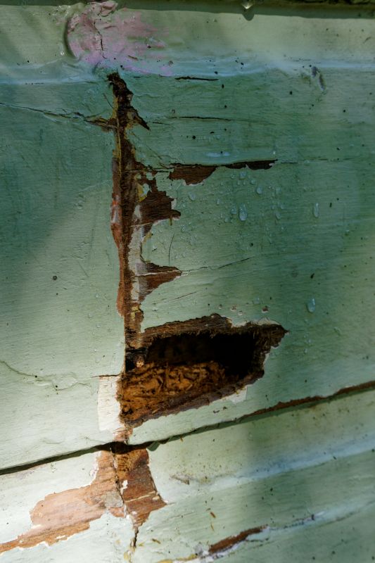 Decay Repair Service in Boulder, CO