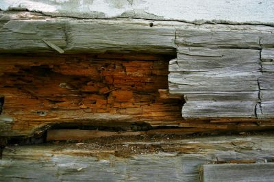 Dry Rot Repair