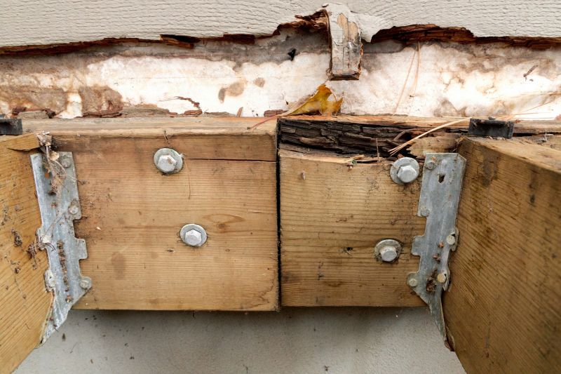 Dry Rot Repair