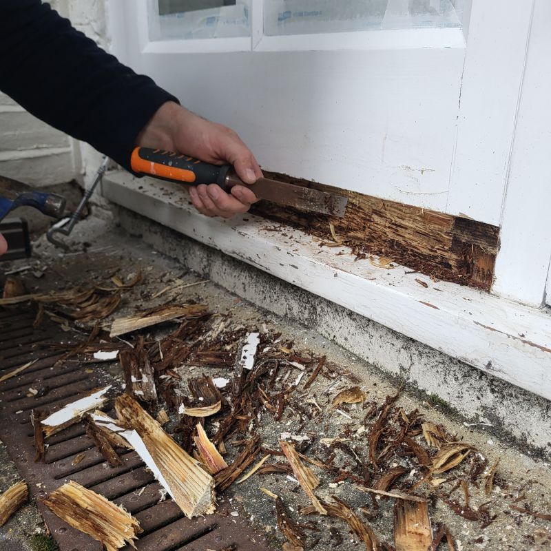 Dry Rot Repair Process