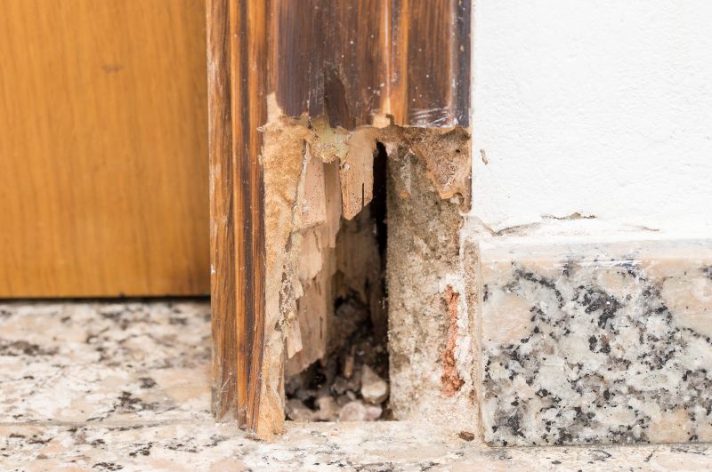 Dry Rot Damage Before Repair