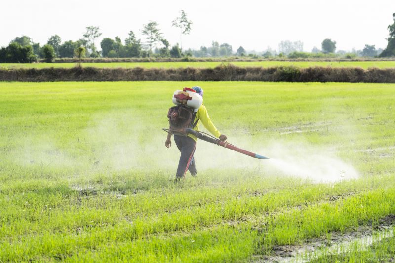 Application of Fungicide