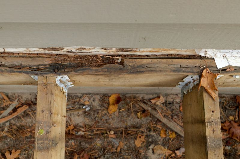 Pest Damage Repair in Overland Park, KS