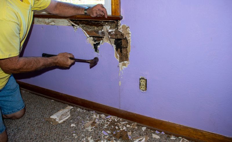 Pest Damage Repair in Boulder, CO