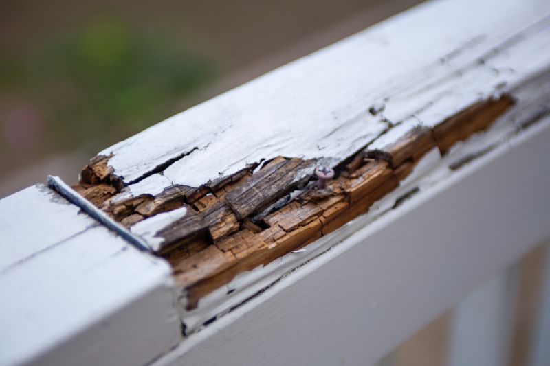 Rot Repair Service in Olathe, KS