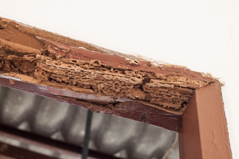 Rot Repair Service in Conroe, TX