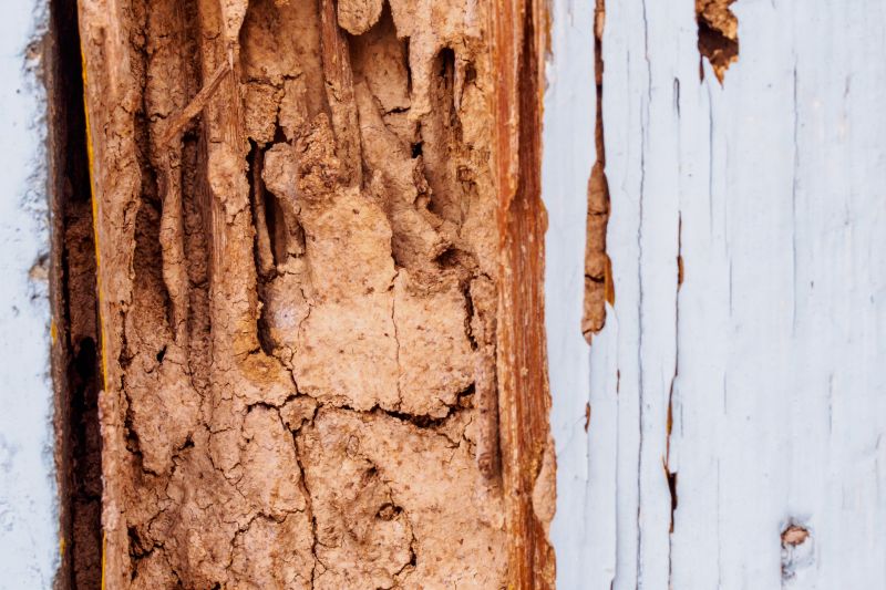 Rotten Wood Repair in Roswell, GA