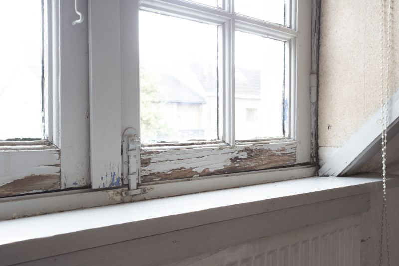Licensed Dry Rot Specialists