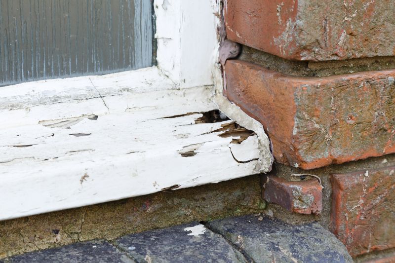 Window Rot Repair in Olathe, KS