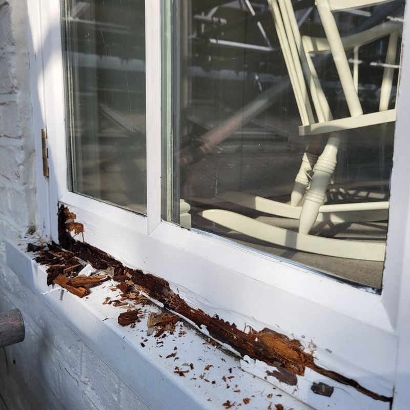 Wood Decay Removal in Denver County, CO