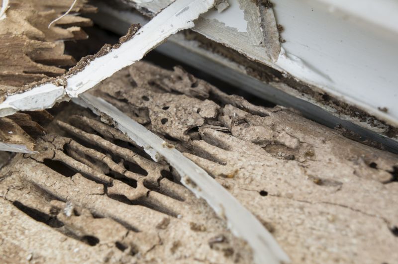 Wood Decay Repair in Roswell, GA