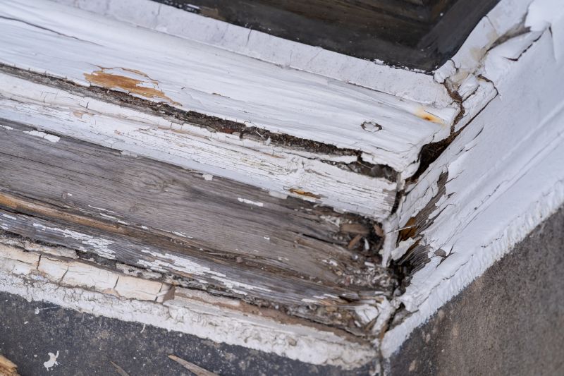 Wood Decay Repair in Arvada, CO