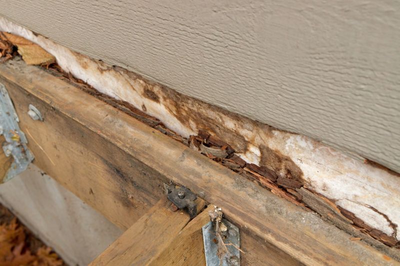 Wood Rot Removal in Overland Park, KS